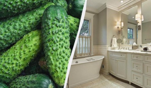 ����������� ������������� ������ � ������: ��������, � ������� ����� �����