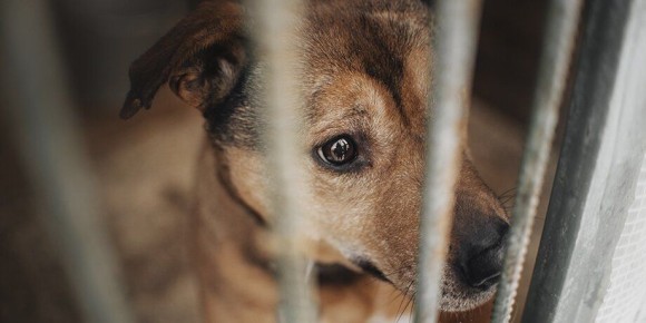 �������� ���������� ��������� ������������� �������� �������� � ����� ��������