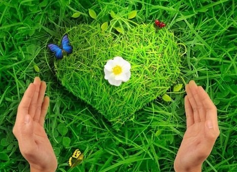 Отношения без любви: как поступить в непростой ситуации