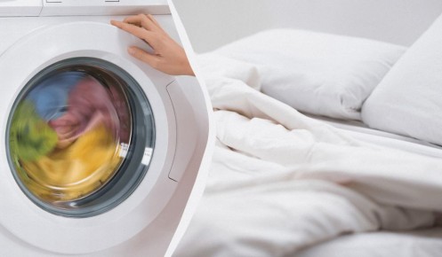 ��� ������ �������� � ���������� ������: 7 ������� �����