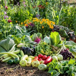 ��������� ������� ��� ���������� ������: ��� �������� ������ �������� ����