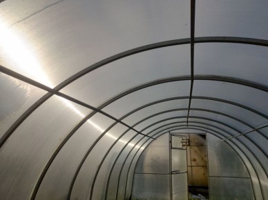 Зимняя подготовка теплицы: важные советы, которые нельзя игнорировать