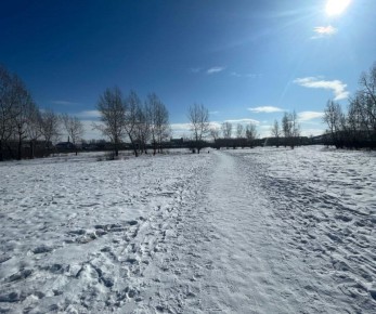 Ширинский районный суд на основании доказательств, представленных стороной государственного обвинения, вынес приговор по уголовному делу в отношении местной жительницы