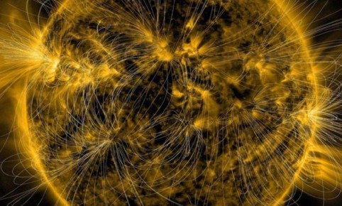 ������ ������� ���������� ���������� ��������� ���� ������