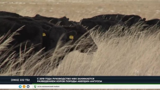 "�������" � ������: � ������� ��¨� ��������� �����