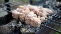 Как выбрать идеальное мясо для шашлыка: советы от Роспотребнадзора