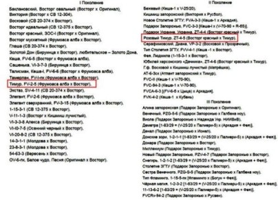 �������� �����: ��������������� ����������� � ������ ���������