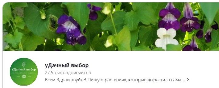 Новинки и события недели на уДачном проекте