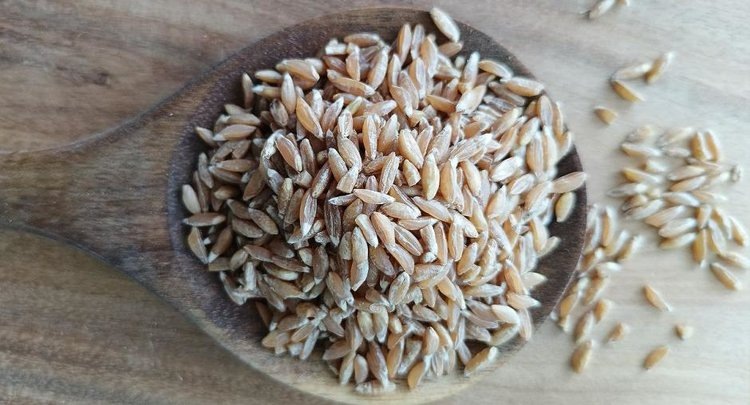 Полба: суперфуд для здоровья и долголетия