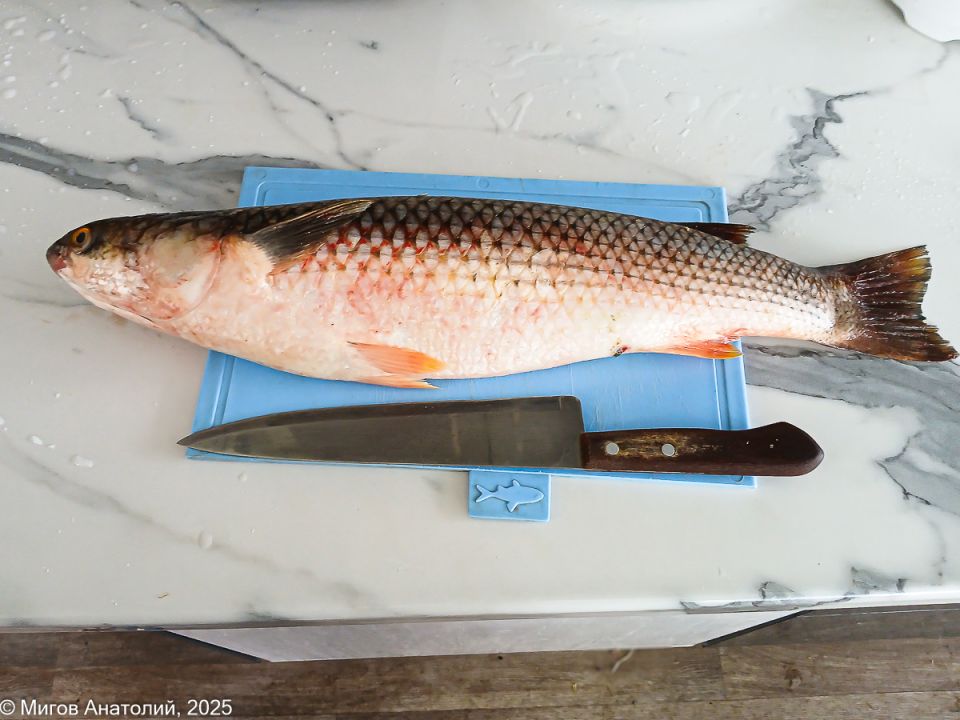 Пеленгас на обед: Как приготовить вкусно и диетично