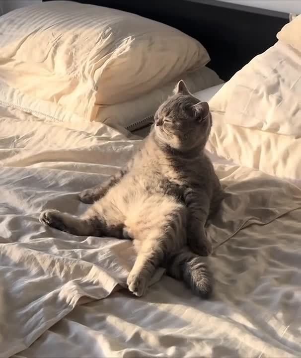 ������ ����, �������! ��� ���������?