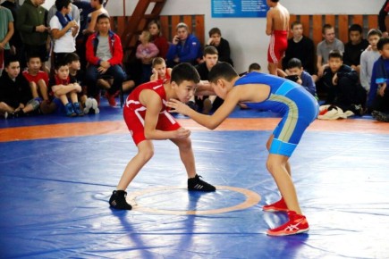 В Аскизе пройдут открытые региональные соревнования по вольной борьбе