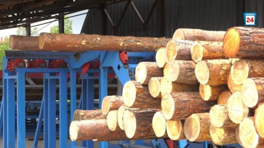 Контрабандистка леса из Абакана ждет суда, она незаконно отправила за рубеж более полутора тысяч кубов ценных пород дерева стоимостью свыше 9 млн рублей