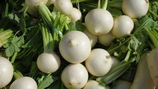 ����: ����������� ������ �����������