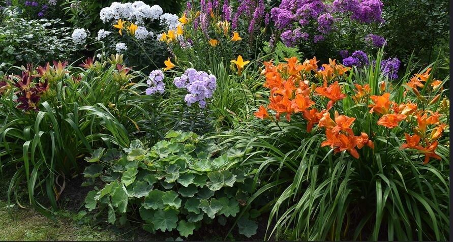 ������� ������: ��� ������� �������� ������� � ������������ ��������