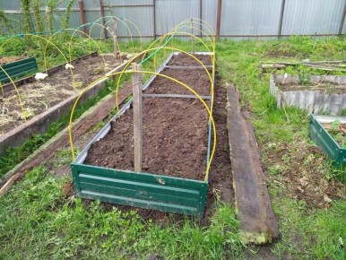 ������������ � ���������� ������� ������: ��� ������� ��� ����?