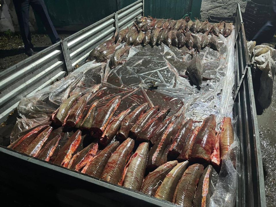 � ���������� ������ ��������� ������������� ���������� ���� �� ��������� ����� ������� ������� � ���������� ������� ���������� ������, ����������� � ������� ����� ���������� ���������