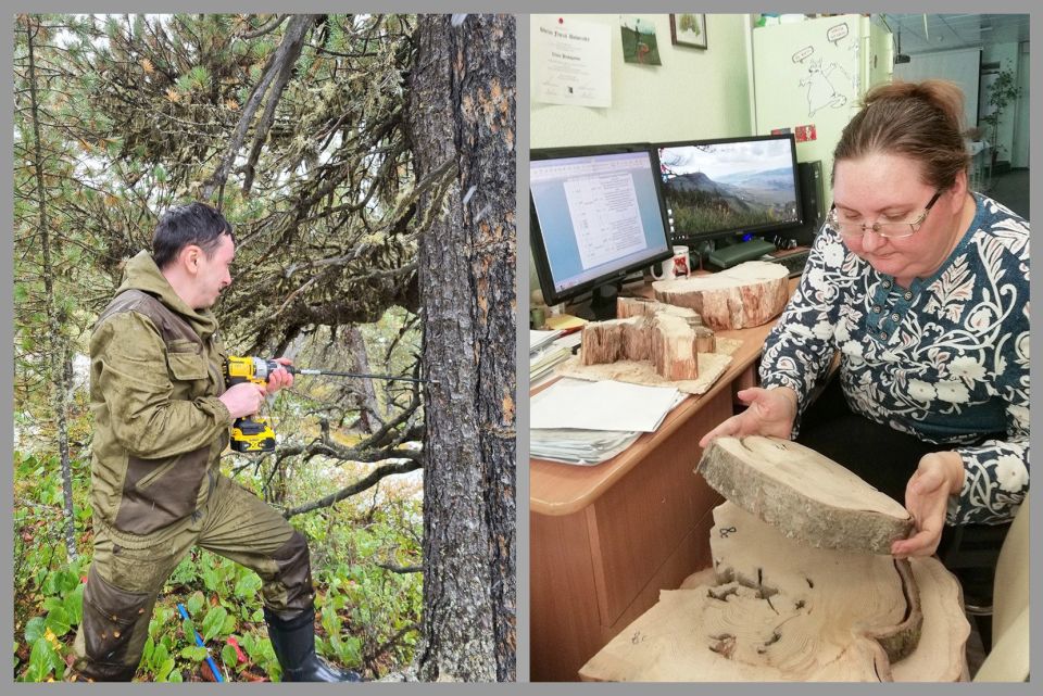 � ��� ������� �������. ������ �� �� ������� ���������� ���������� ������ �����������? ������ ����������, �� ��� �� ��� ��� ���������� �� ����� �������