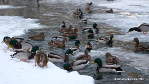 ���������� �� +3 �C �������������� � ���� �������� ������ � ������ ������, �������� ���������