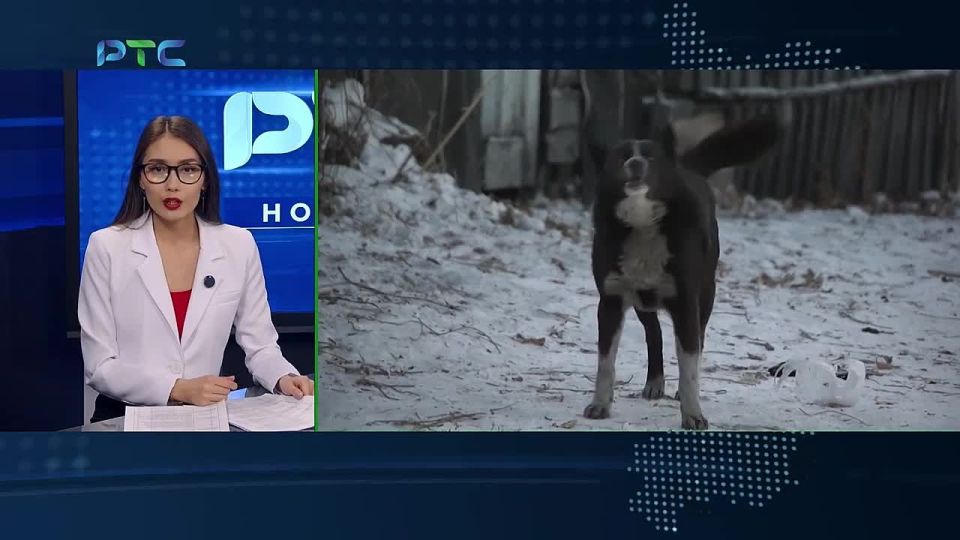 ���� ������ ������� �� ����������� ������ � �����������