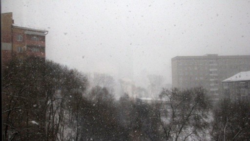 ������ ����� ��������� �� ������� 11 �������