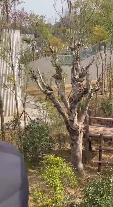 ��� �������� � �����!. ����� ��������: ����������������� ���� ���� � ����� ��� � Telegram | MAX