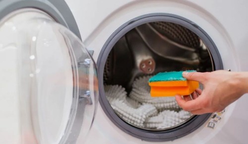 ������� ����������� �����: ��� ����������� ������������ ���� ��������� ������