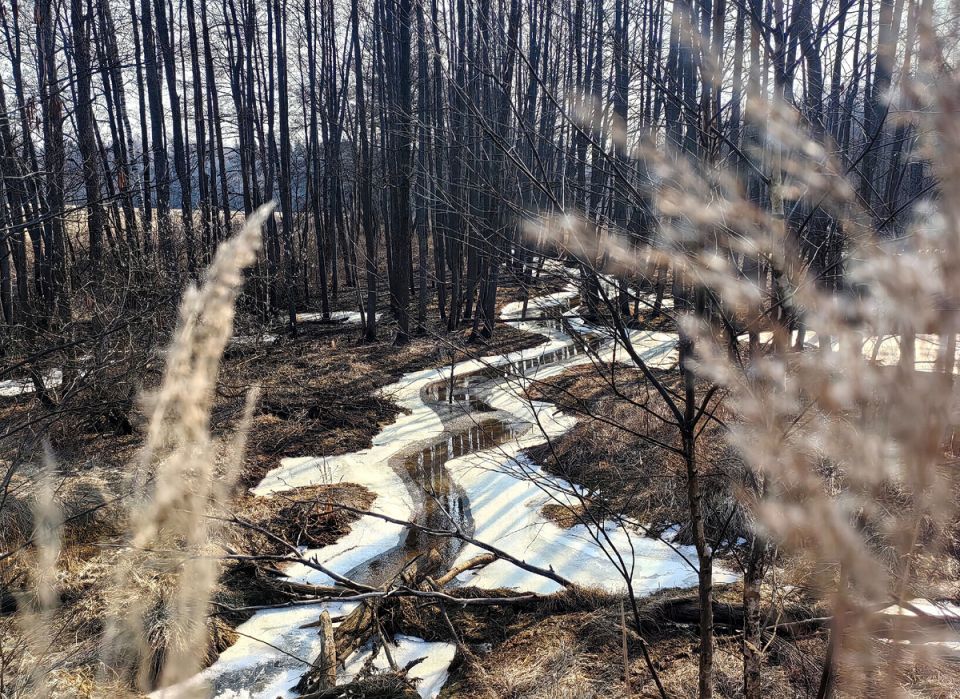 ��� ���������� � ��������� ������: ������� ������� � ������