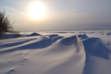 �������������� � ������� ������� ������ ���������, ��� �������� ���������, � ����� ������ �����������, ���������� ��� ������� �������