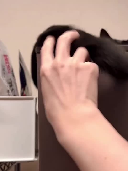 Доброе утро, Хакасия!