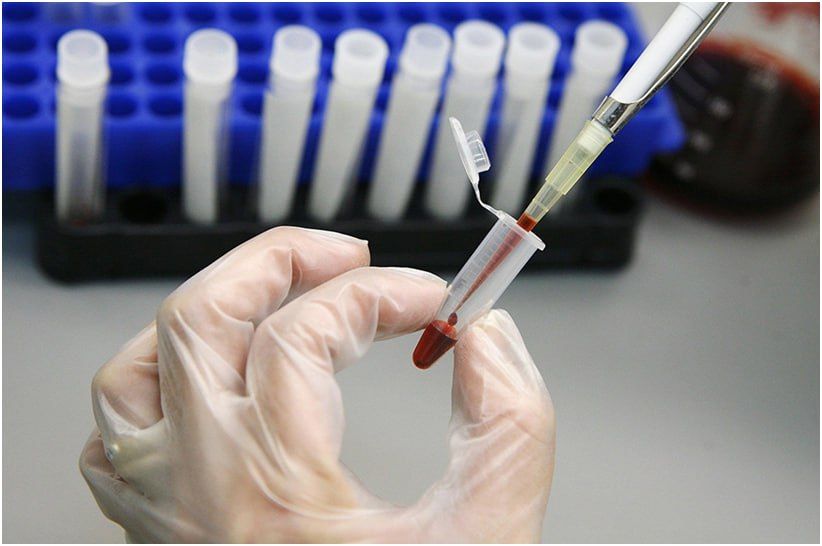 17 ����� ������� ���-�������� �������� � ������� � ������ ����