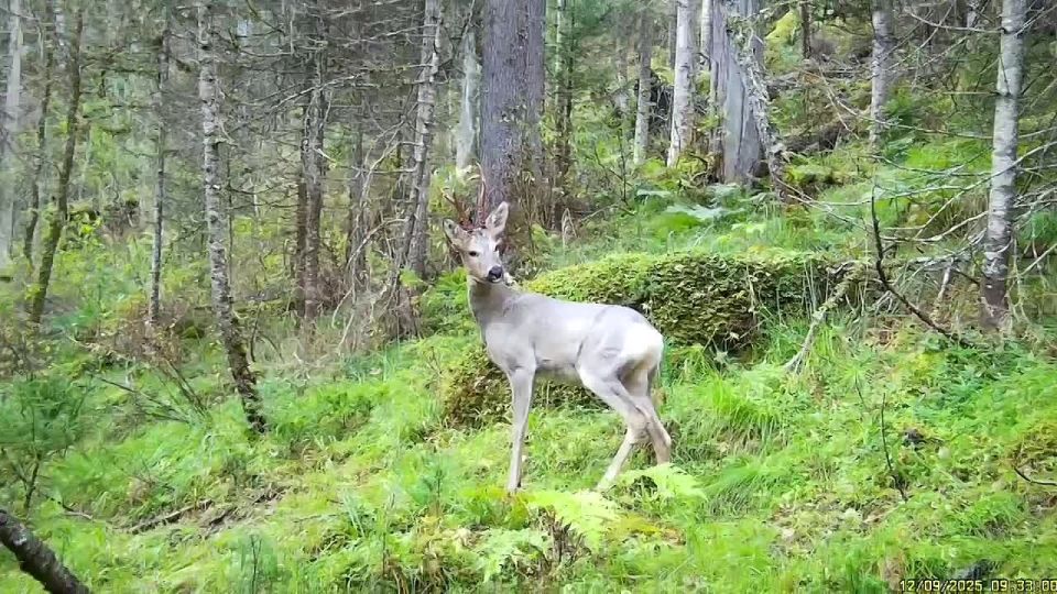 �� ������ ���������� �� ��� �������� ������