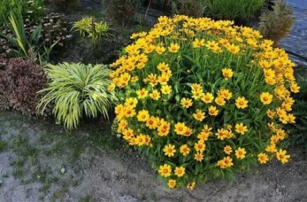 ���������: ����� ������ ���� � ����� ����