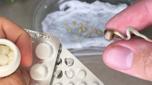 ��� ������� ������� �������� ������� ���������� ��� ������