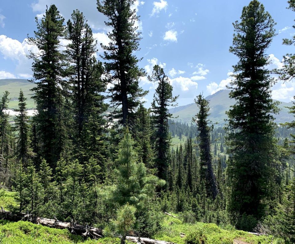 � ������ ��������� ����������� ������������ ���������� ������ �����������, ��� ������ ������������� ���� ���������� ���������� ����� ������ ���������� �� ���������� ������� ����� �������������� �����������, ��� ���������...