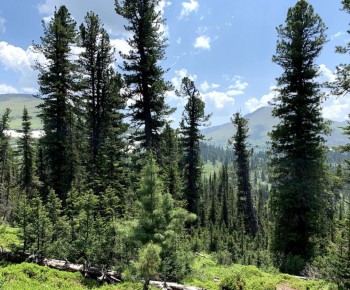 � ������ ��������� ����������� ������������ ���������� ������ �����������, ��� ������ ������������� ���� ���������� ���������� ����� ������ ���������� �� ���������� ������� ����� �������������� �����������, ��� ���������...