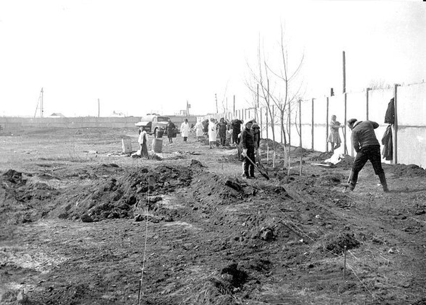 Знаете историю абаканского зоопарка? В начале 60-х на этом месте была огромная свалка биологических отходов мясокомбината