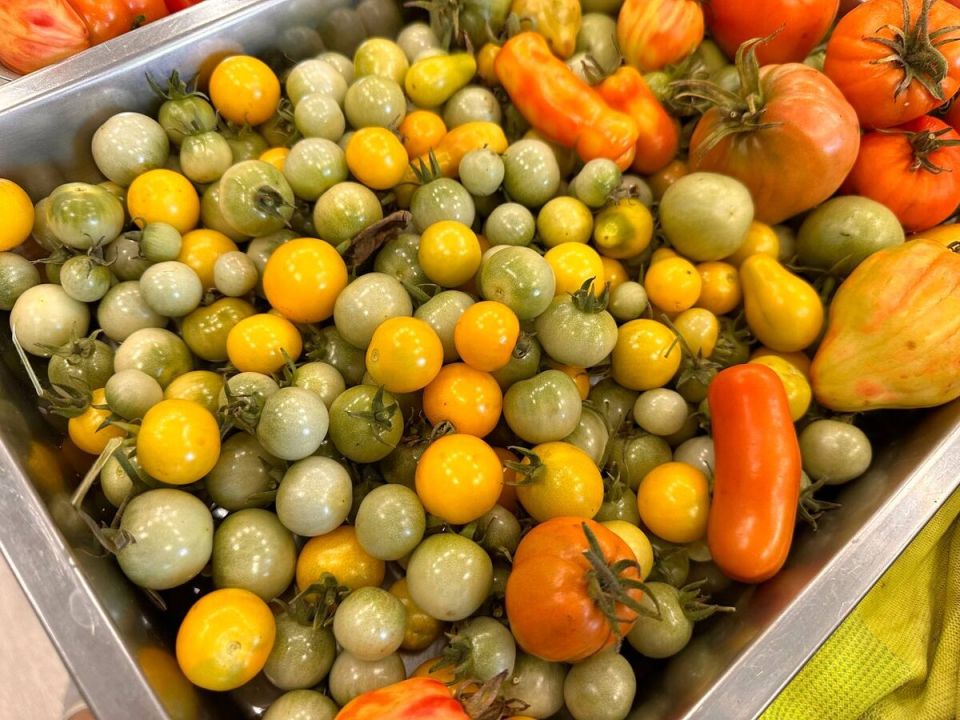 ������������ ������: ��� ��������� ���������� ����� �������