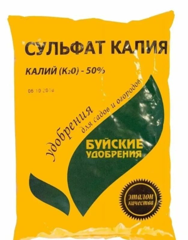 ������� ����� �� �����������: ��� ������� ���� �������� ��������� � ���������