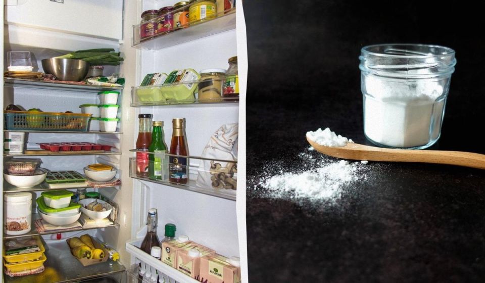 ��� ���������� �� ����������� ������ � ������������ � ������� ���� ������� ������������