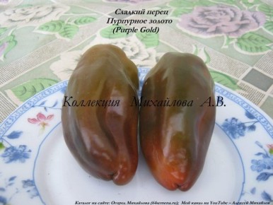 ����� ��������� ������: ������� ���������� ����� � ���������� ��������