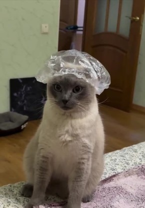 ������ ����, �������!. ��������� � ������� � ��� ����������!