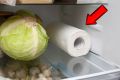 Промедление с продуктами? Узнайте, как бумажное полотенце в холодильнике может спасти вашу еду!