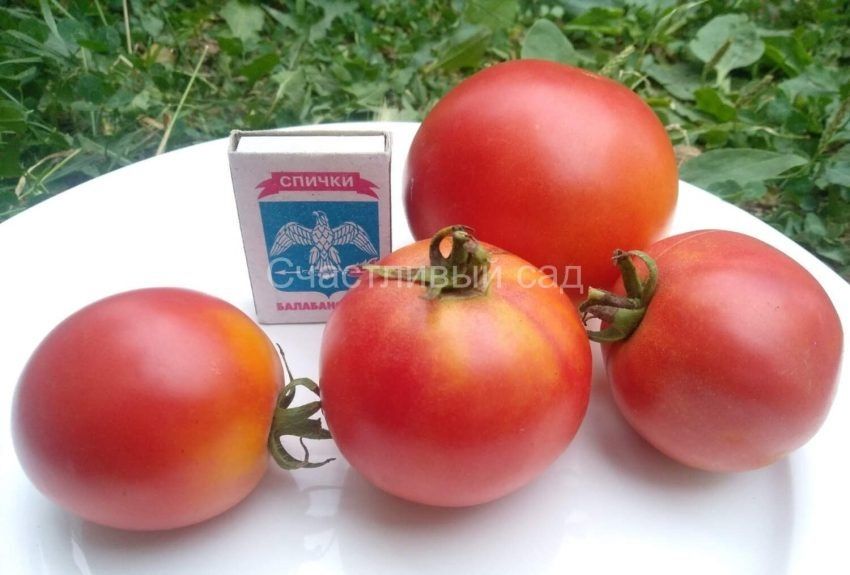 ����� ������: ������ ������� ����� ��� ��������� �������