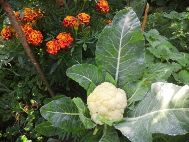 ��� �������� ������� ��� �������� ������ ������� �������