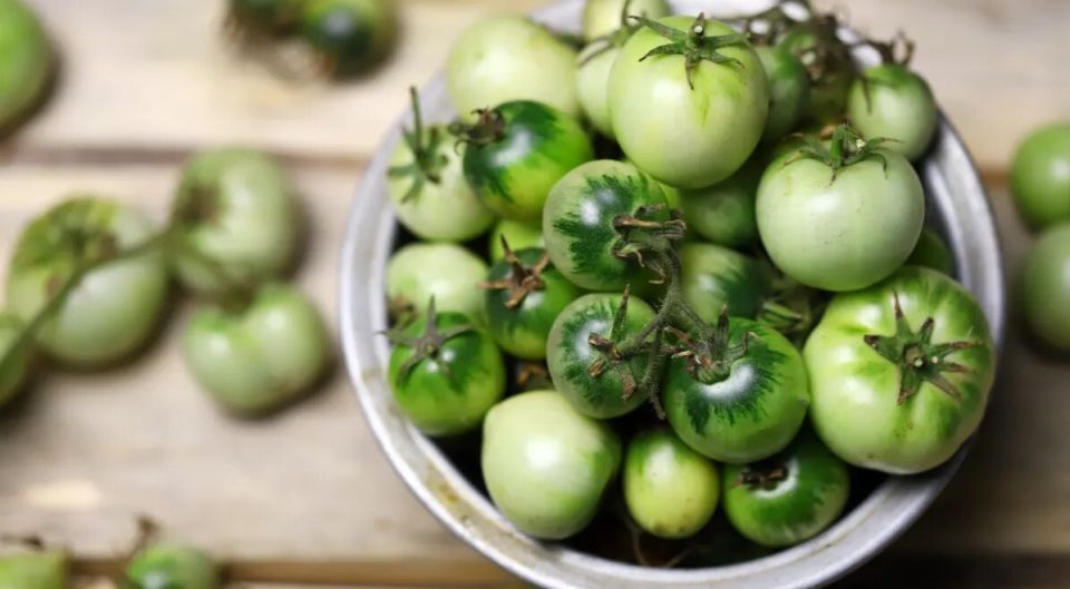 ��������� � ����������: ��� ����, ������� ����� ��������� ������ ��������