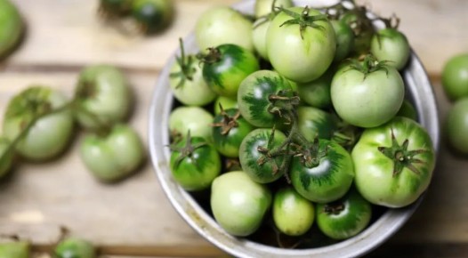 Осторожно с помидорами: два вида, которые могут навредить вашему здоровью