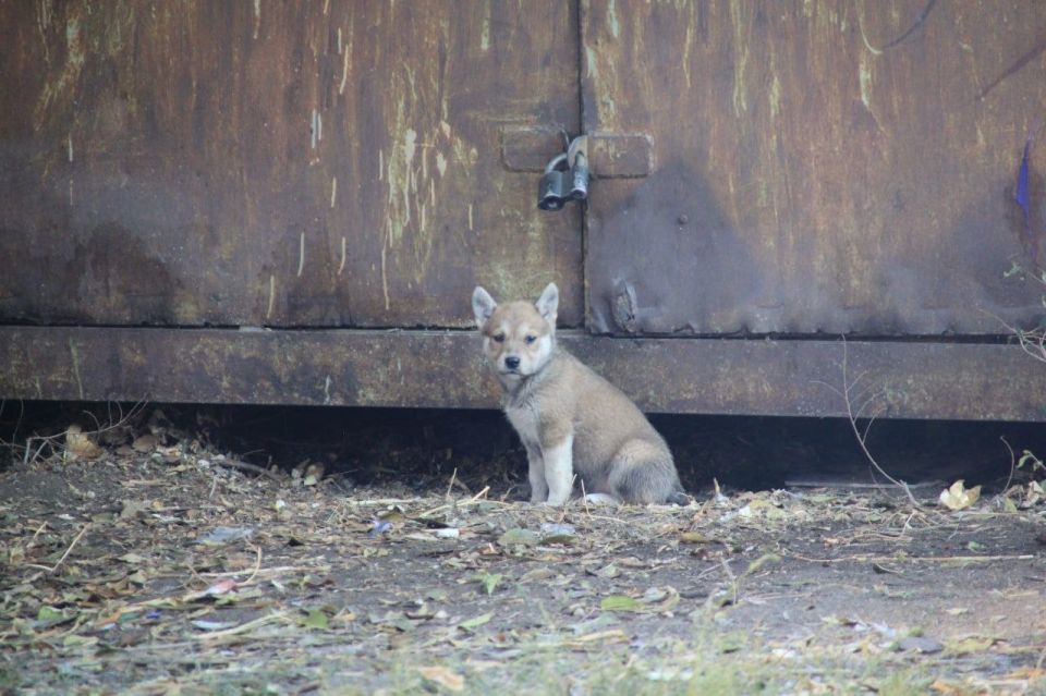 1263 ������ ������� ���������� �� ������ ����� � ������� ����