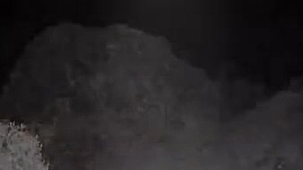 Тест на прочность: судя по всему, фотоловушки в Саяно-Шушенском заповеднике— неизменная точка притяжения для снежных барсов в любое время года