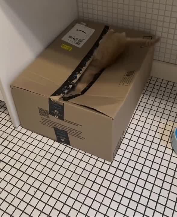 ������ ����, �������!. ��������� � ����� ������� ������